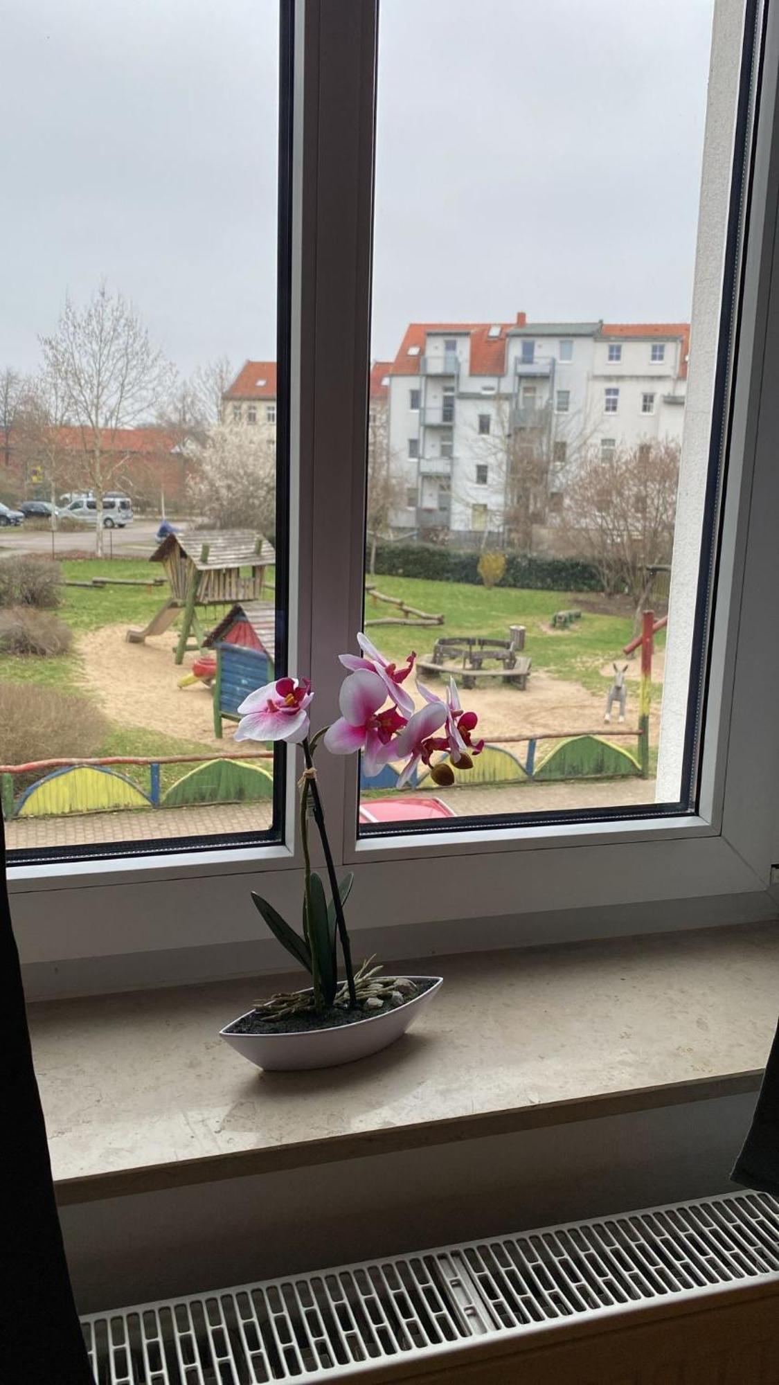 Fewo "Franzi" 5 Personen, Zentrale Lage, Parkplatz Dessau-Rosslau Exterior foto